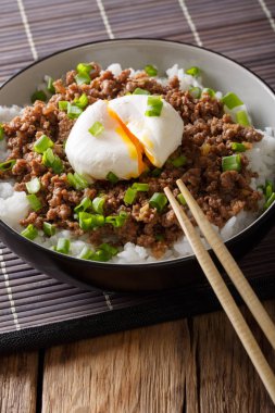 Japonca baharatlı kıyılmış et Soboro yumurta, pirinç ve yeşil soğan ile