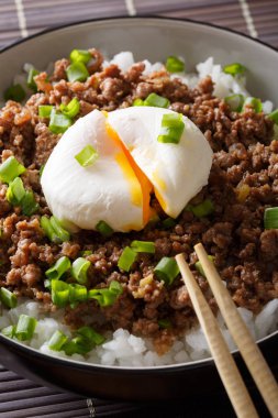 Sığır Soboro haşlanmış yumurta, pirinç ve yeşil soğan yakın çekim. ver