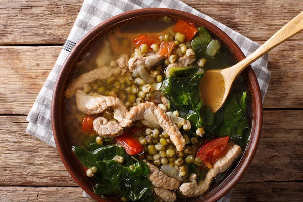 ボウルに豚肉のクローズ アップとフィリピンの緑豆スープ。ホリゾント — ストック写真