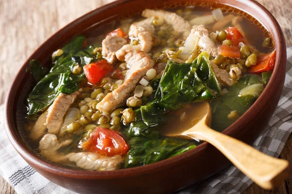 ボウルに豚肉のクローズ アップと豆もやしのフィリピンのスープ。地平線 — ストック写真