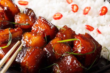 Vietnamese food: caramelized pork belly with rice macro. Horizon clipart
