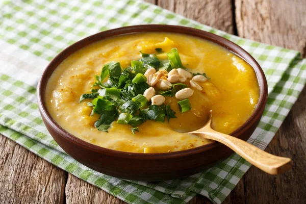 Thai-Curry-Kürbissuppe mit Erdnüssen, Kokosmilch und Koriander — Stockfoto