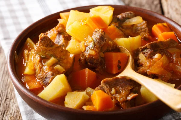 Spicy stew estofado with beef and vegetables in a bowl close-up. — Stock Photo, Image