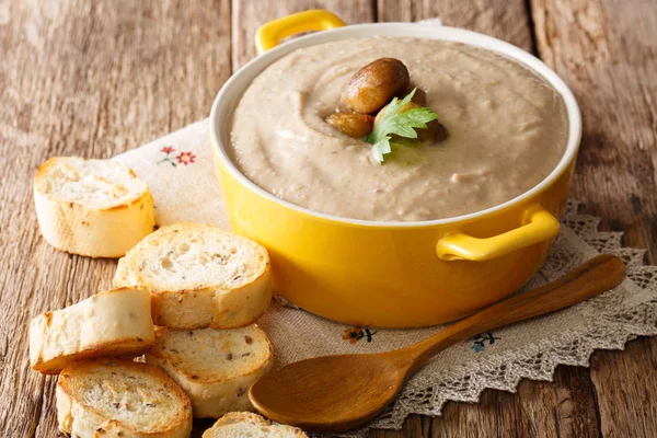 Delikat kastanj soppa närbild i en kastrull och krutonger. Hori — Stockfoto