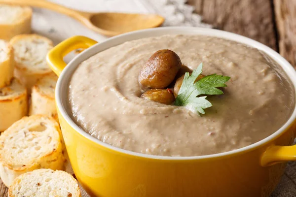 Puree zuppa di castagne con pane tostato macro. orizzontale — Foto Stock