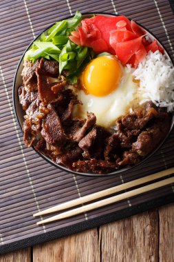 Japon mutfağı: pirinç ve soğan ile gyudon sığır eti. Dikey üst 