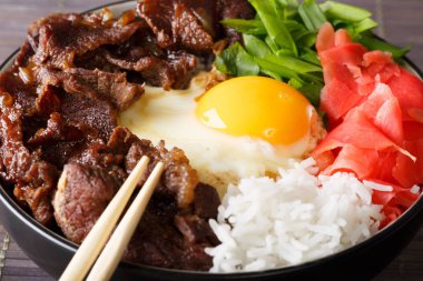 Japon mutfağı: pirinç ve soğan makro ile gyudon sığır eti. ufuk
