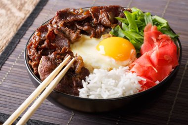 Pirinç, yumurta, zencefil ve soğan yakın çekim ile Japon gyudon sığır eti. 