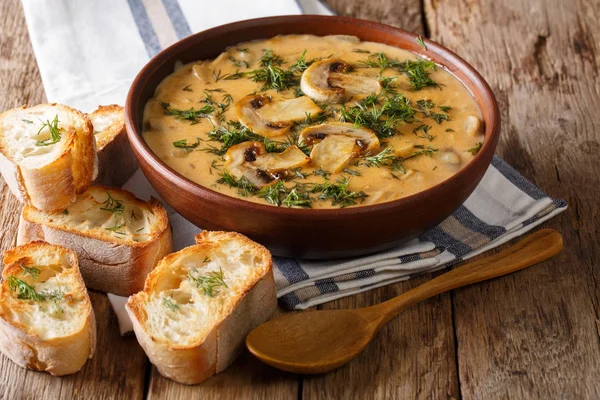 Венгерский вкусный густой грибной суп со свежим укропом в луке — стоковое фото