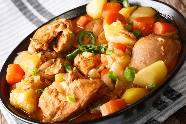 Ayam rebus pedas dengan sayuran close-up dalam mangkuk. Horizon — Stok Foto