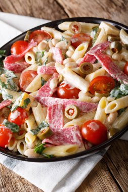 Penne makarna ile salam ve krem sauc ile sebze salatası