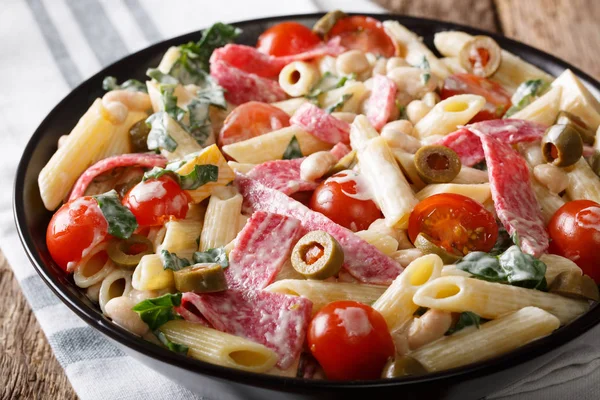 Pyszne sałatki, makarony, salami, ser i warzywa z cr — Zdjęcie stockowe