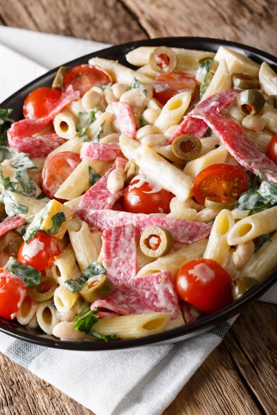 Salad of penne pasta with salami, and vegetables with cream sauc — Stock Photo, Image