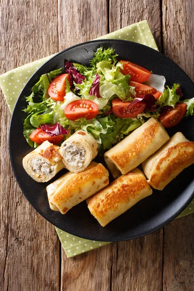 Rollos de crepes con pollo, queso y champiñones de cerca y sal — Foto de Stock