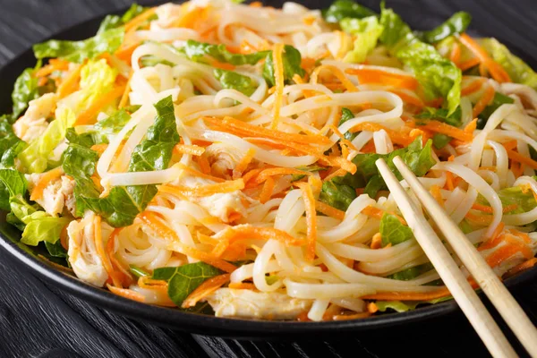 Вьетнамский куриный салат с рисовой лапшой, морковью и травами ma — стоковое фото