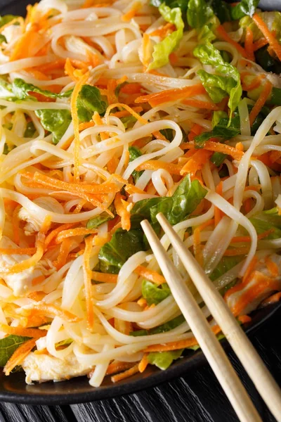 Vietnamesiska traditionella sallad med kyckling, Risnudlar, morötter en — Stockfoto