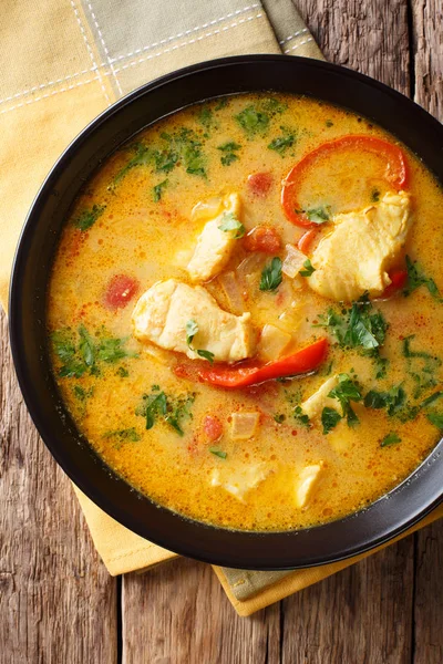 Guiso brasileño de pescado con verduras y leche de coco de cerca en — Foto de Stock