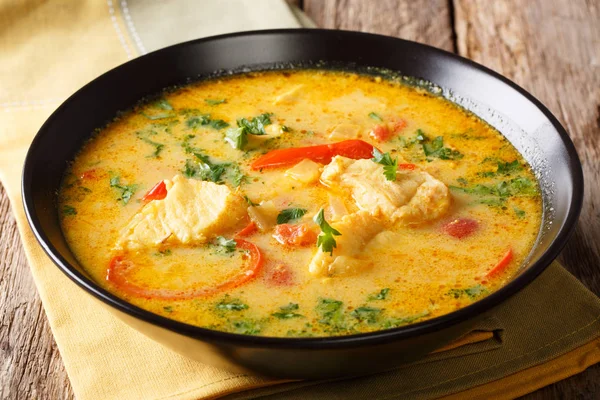 Moqueca stew fish with bell peppers in spicy coconut sauce close — Stock Image Moqueca stew fish with bell peppers in spicy coconut sauce close Stock Picture