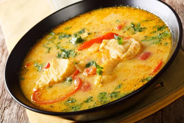 Brazilian stew fish with vegetables and coconut milk close-up in — Stock Image Brazilian stew fish with vegetables and coconut milk close-up in Stock Image