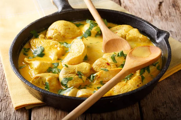 Curry de poulet dans une sauce de lait de coco close-up. horizontal — Photo