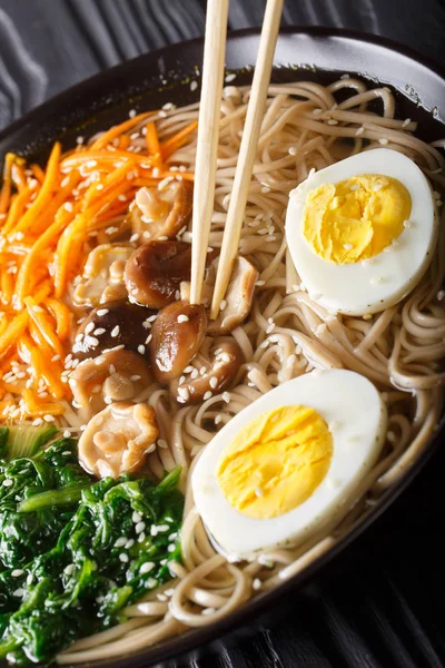 Zuppa di Soba giapponese con verdure, funghi, uova e sesamo — Foto Stock