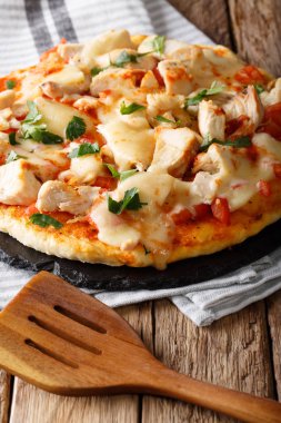 Tavuk göğsü, domates, lezzetli pizza sosu buffalo ve