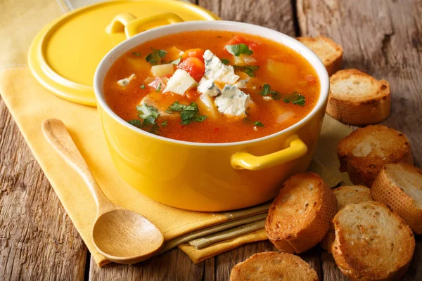 Sup kerbau panas dengan ayam, sayuran dan keju biru menutup - — Stok Foto