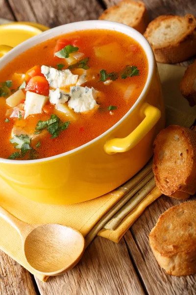 Deliciosa sopa de pollo búfalo con tomates, apio, zanahorias y — Foto de Stock