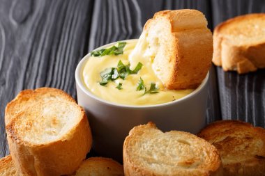 Lezzetli kızarmış ekmek peynir sosu yakın çekim içinde daldırma. ufuk