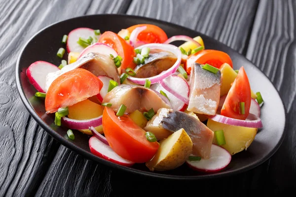 Smoked mackerel with potatoes, radishes, onions and tomatoes clo — Stock Photo, Image