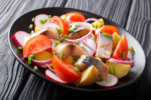 Caballa ahumada con patatas, rábanos, cebollas y tomates clo — Foto de Stock