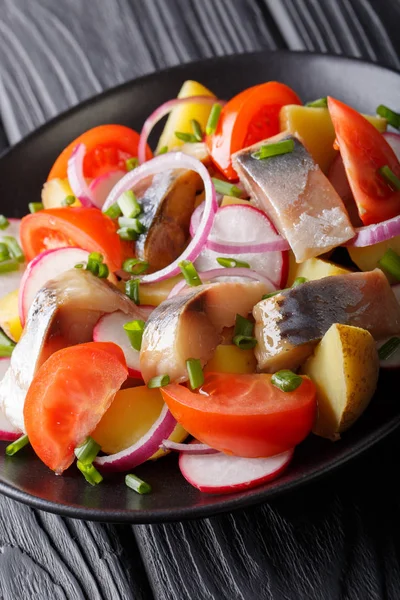 Insalata fresca di sgombro con carofel, ravanello, cipolla e pomodori — Foto Stock