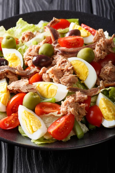 Fransk mat: nicoise sallad med grönsaker, ägg, tonfisk och ancho — Stockfoto