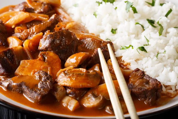 Dana eti ve mantar makro bir plaka üzerinde Hayashi Japon pirinç. 