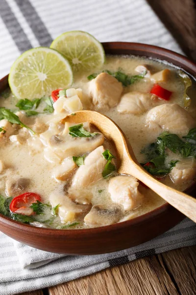 Zuppa di pollo tailandese Tom Kha Gai primo piano in una ciotola. verticale — Foto Stock