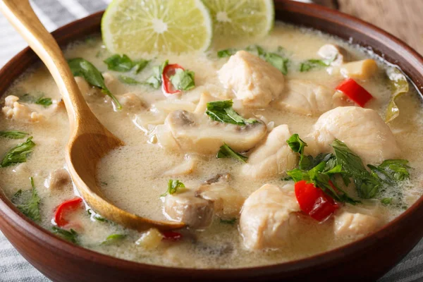 Sopa de pollo tailandés picante tom kha gai de cerca en un tazón. horizontales —  Fotos de Stock