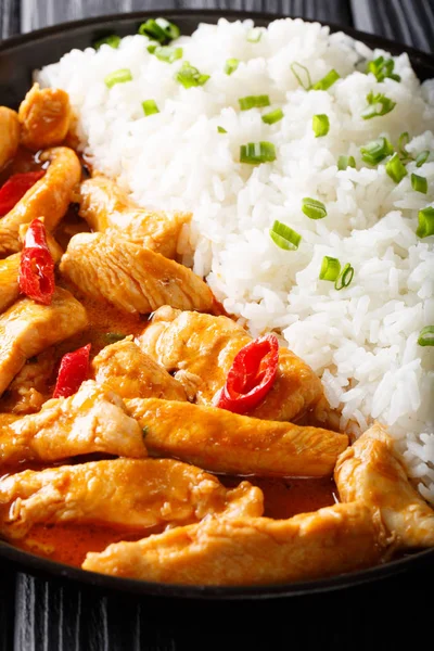 Comida tailandesa: Panang curry con arroz de cerca. vertical — Foto de Stock