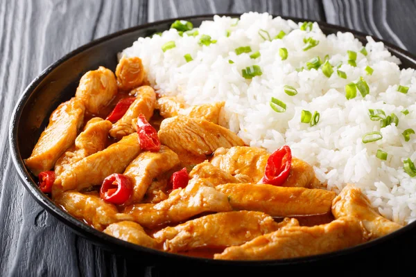 Delicious Thai chicken panang curry with garnish of rice close-u — Stock Photo, Image