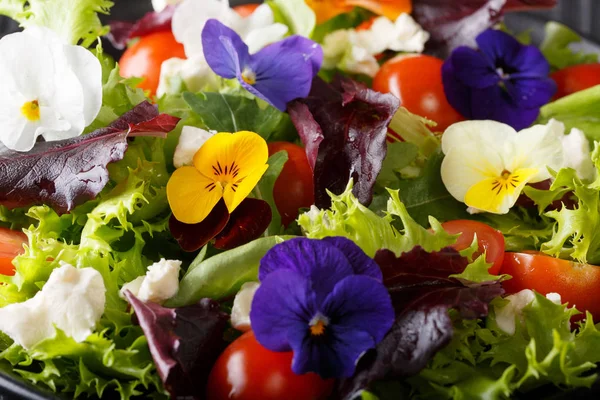 Ensalada de flores con lechuga, tomate y queso crema macro b —  Fotos de Stock