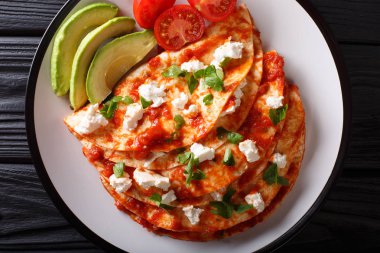 çiftlik peyniri ve domates sosu yakın çekim bir plat ile entomatadas