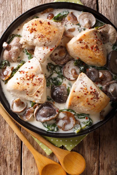 Stewed chicken breast with wild mushroom sauce and spinach close — Stock Photo, Image
