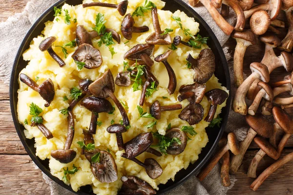Rustic food forest mushrooms honey fungus with mashed potatoes c — Stock Photo, Image