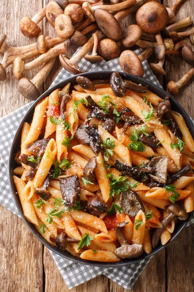 Włoski makaron penne z grzybami Armillaria mellea, pomidorami, — Zdjęcie stockowe