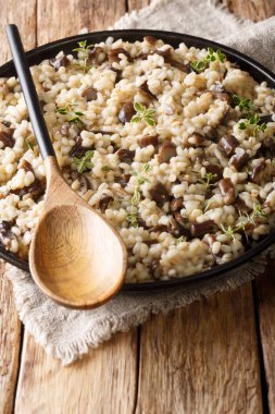 Porcini mantarlı ve kekik desenli İtalyan Orzotto (perlotto)