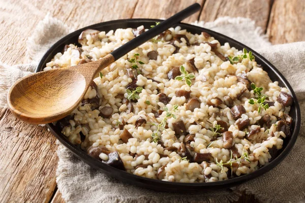 Delizioso orzo fatto in casa Orzotto con funghi porcini della foresta — Foto Stock