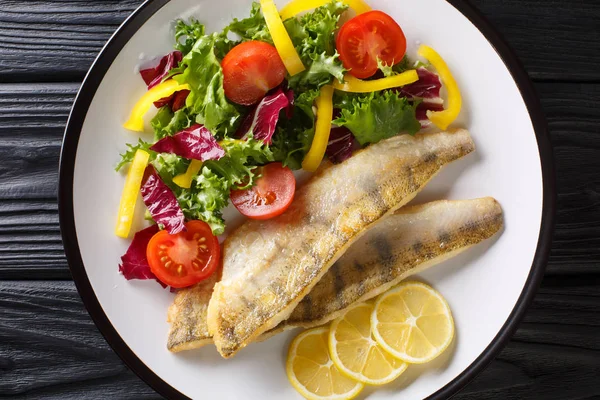Tasty fried zander fillet with fresh vegetable salad close-up in — Stock Photo, Image