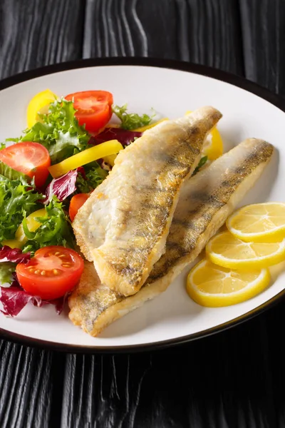 Fried zander fillet served with fresh salad closeup in a plate. — Stock Photo, Image