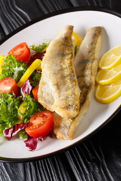 Diet food zander fillet σερβίρεται με φρέσκια σαλάτα close-up σε ένα pl — Φωτογραφία Αρχείου