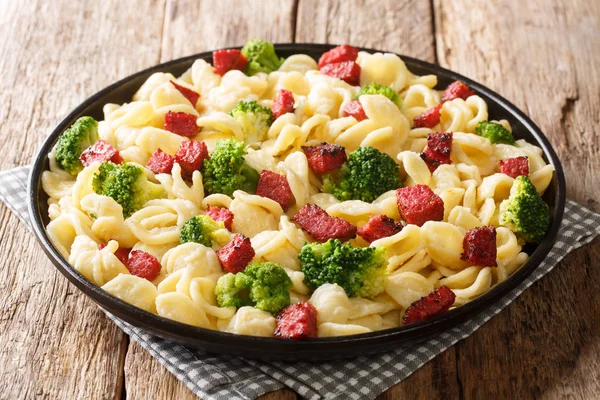 Serving of orecchiette pasta with broccoli and fried Italian sau — Stock Photo, Image
