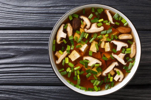 Asian soup with shiitake mushrooms, tofu cheese and green onions — Stockfoto